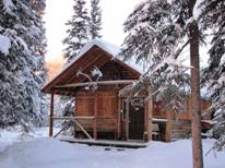Boreal winter.jpg