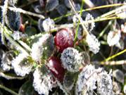 image016.jpg
